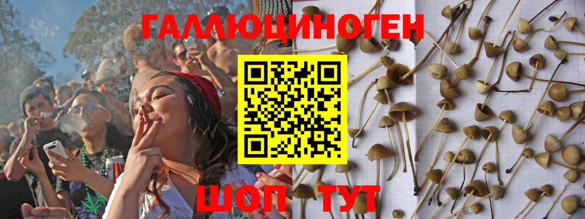 Псилоцибиновые грибы MAGIC MUSHROOMS  Вход с VPN  Партизанск 